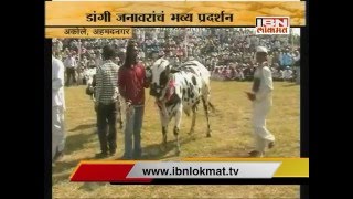 IBN Lokmat GAVAKADCHYA BATMYA 12 January 2016 (Full News Bulletin)