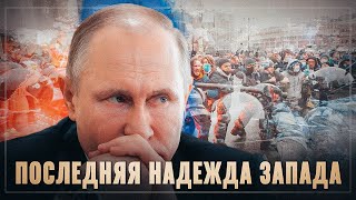 «Эпоха песца» для Запада. Последняя надежда на госпереворот в России