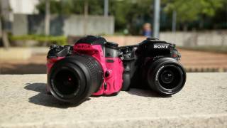 Sony A77 vs Nikon D7000 - Shooting Parkour