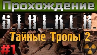 S.T.A.L.K.E.R: Тайные Тропы 2 - Прохождение Часть #1 - Мертвый город