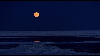 Людвиг ван Бетховен. Лунная соната