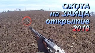 Охота на зайца 2019. Открытие сезона охоты. Первые трофеи сезона.