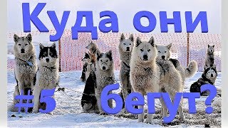 ЕДЕМ ПО КОРЯКИИ \ ОХОТСКОЕ МОРЕ \ БЕРИНГИЯ 2019 \ КАМЧАТКА   #5