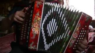 Одинокая ветка сирени на гармони.