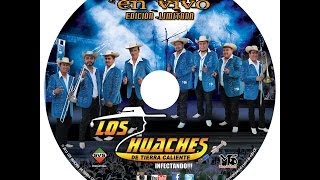 indita mia los huaches de tierra caliente en vivo 2013