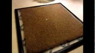 Raw Food Recipes: Sunflower Bread