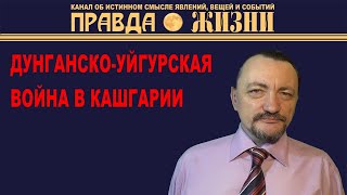 Советско-дунганская война. Часть II