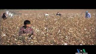 O'zbek bolalarini majburan ishlatishga qarshi namoyish - Uzbek forced child labor protest