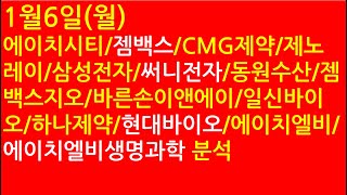 젬백스/cmg제약/제노레이/삼성전자/써니전자/에이치엘비/에이치엘비생명과학/하나제약/현대바이오/바른손이앤에이/일신바이오 상세 분석