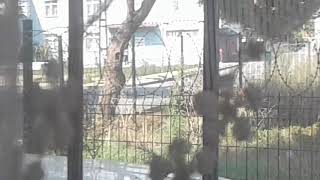 GİZLİ ÇEKİM MODU 2