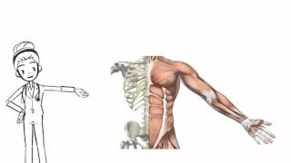 Treating Back Pain, Herniated Disc, Scoliosis and Joint Pain with Chiropractic and Physical Therapy