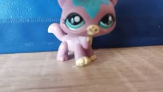 Коты поют Despasito (пародия)