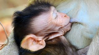 So Cute Asian Baby Nursing With Mommy So Lovely April Mother! So CUTE!