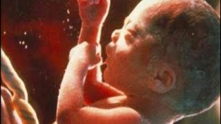 مراحل نمو الجنين في الشهر الخامس