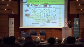 Dominique Larcher: Le stockage électrochimique de l’Energie.