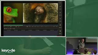 MEDIA COMPOSER 2019: PANEL UI, BINS, BIN CONTAINERS, AND TIMELINE UPDATED