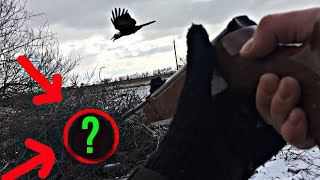 ✅ОХОТА НА МЕЛКУЮ ПТИЦУ С ПНЕВМАТИКОЙ⚠️ ОХОТА НА ВОРОНУ?