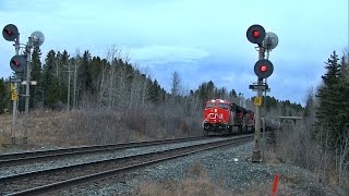 CN Train Spotting HD: Dogs Bark To An EMD SD70ACe Startup On The Mainline At Obed AB 16/17 11/13/16