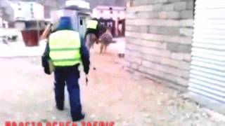 ГРУППА БЫСТРОГО РЕАГИРОВАНИЯ  (PROSTO ZAEBIS )ВИДЕО 10