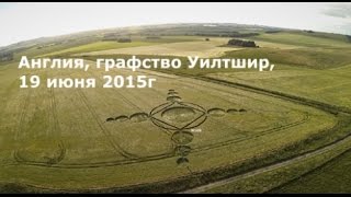Рисунки на полях. Англия, графство Уилтшир, 19 июня 2015г
