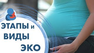 Искусственное оплодотворение женщин. ? Этапы и виды искусственного оплодотворения женщины.