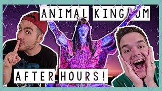 Animal Kingdom After Hours! | Walt Disney World Vlog May 2018
