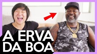 HIPNOSE : MR . CATRA FICOU DOIDÃO ( Pyong Lee 322 )