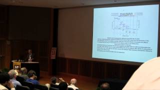 ICCF-18 : Francesco Celani "...Constantan wires ..."