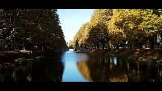 Lindenthal im Herbst (Köln)