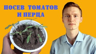 ПОСЕВ ТОМАТОВ и ПЕРЦА на рассаду. Как правильно посеять томаты и перец