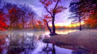 The Best of Chopin - Piano Playlist