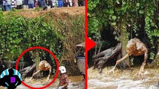 5 странных видео, которые заморозят вашу кровь Часть 3
