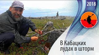 #20 В Кабацких лудах в шторм | Амбарный - Кузема 2018 | Приключения на байдарке