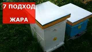 расширяю вторым корпусом семьи с однолетними матками/ противороевые мероприятия