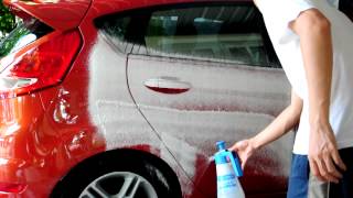 Gloria Foam Master FM10 + MG Gold Class Shampoo (1:50)