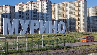 МУРИНО(ПИТЕР) ИЮЛЬ 2019,ПРОГУЛКА.