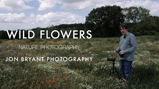 Wild Flowers Nature Photography