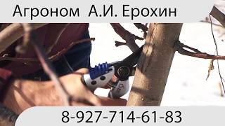 Профессиональная обрезка сада.