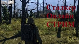 Сталкер Онлайн Стрим Караван СПБ