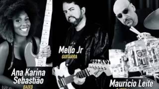Workshow Tagima gratuito na loja Made In Brazil - Sábado dia 03/11