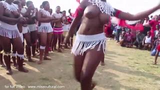 Zulu Reed dance Amatshitshi eMhlangeni
