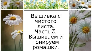 МК. Вышивка с чистого листа. Часть 3. Вышиваем и тонируем ромашки. Разживалова Наталья