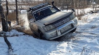 Land Cruiser Prado, UAZ Patriot, Surf, Carib, Нива Бронто. Покатушка по лесу. Off-Road