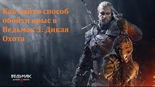 Как обойти крыс Ведьмак 3