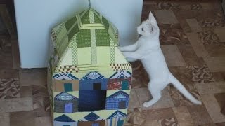 Как сделать домик для кошки
