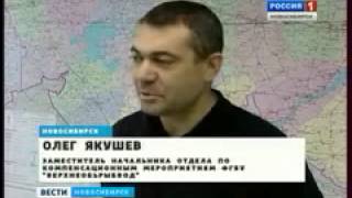 В озерах Краснозёрского района массово гибнет рыба