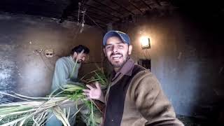 18 Hazari Village Zila Jhang Pakistan