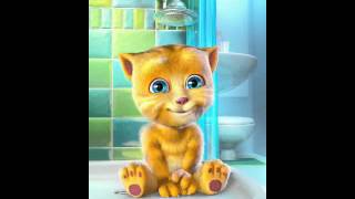 Talking  meo con cuoi