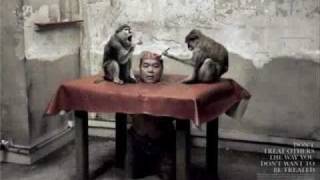 Orujo de Brujas - Liberacion Animal