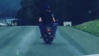 Drunk idiots on moped hit cow || Viral Video UK